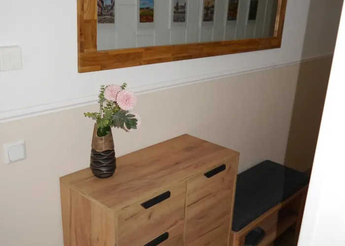 Haus-wolter 公寓 戈斯拉尔