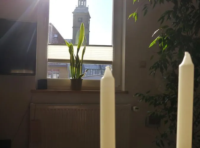 Haus-wolter 公寓 *